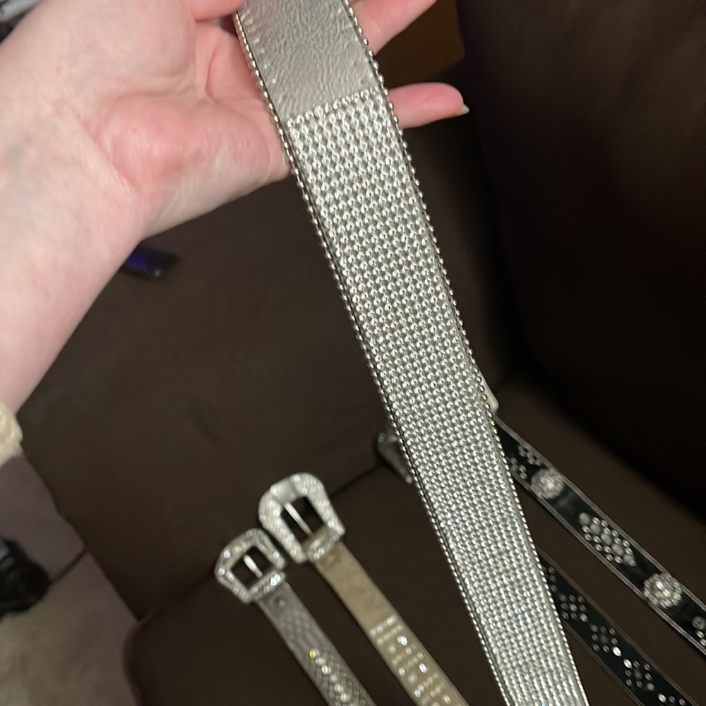 Buckle (BKE) Belt Bundle - Picture 4 of 4